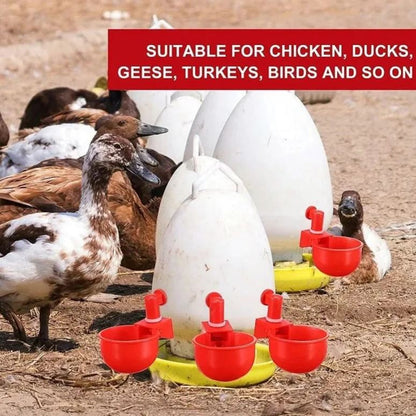 🐔Automatisk vattenkopp för kyckling, håller vatten rent och fräscht för hälsosam uppfödning💧