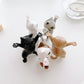 🏆✨😺😺 Drôle Cat Stylo Holder
