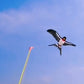 🎣 | Kreativt Fiskespö-drake för Barn – Utvecklar Motorik & Utomhuslek