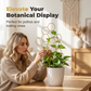 🌿 50% RABATT NU! 🐝 Bikakeformat Växtspaljé – Rostskyddad, Stapelbar & Enkel Installation – Perfekt För Inomhusklättrande Lianer 🏡