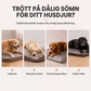 🛏️ Ergonomisk hundsäng – bekväm året runt med stödjande skumbas & molnlik omfamning ☁️