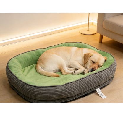 🛏️ Ergonomisk hundsäng – bekväm året runt med stödjande skumbas & molnlik omfamning ☁️
