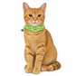 🐾 50% RABATT! ✨ Reflexhalsband för Katt med Vattentät Hållare för Smart GPS-Tracker & Säkerhetsspänne 📍